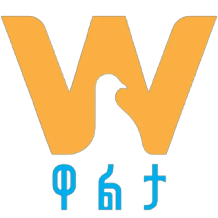 Walta TV